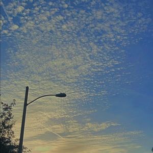 Meet your Posher, Sofia